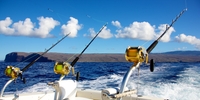 Nautical Adventures Fishing Florida | 8 Hour Trolling Fishing Trip fishing Offshore 