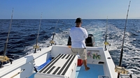 Nautical Adventures Deep Sea Fishing Panama City | 8 Hour Offshore Fishing Trip fishing Offshore 