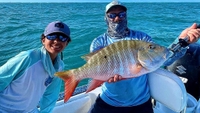 Chris’s Clear Water Charters Half Day Reef/Inshore Fishing - Tavernier, FL fishing Inshore 