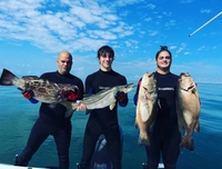 A&A Underwater Adventures Mia Fishing Charter in South Florida | Private 6-Hour Charter Trip fishing Offshore 