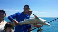 Reel1Up Fish & Dive Charters Jawsome Adventures: Unleash Your Inner Shark Hunter in Bonita Springs, FL fishing Offshore 