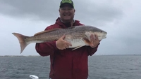 Sunrise Charters Gulf Shores Fishing Trips | 2 Hour Charter Trip fishing Inshore 