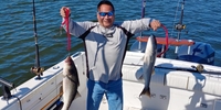 Trinacria Fishing & Cruising – Boston Boston Fishing Charters Boston MA | Private - 2 to 3 Hour Sunset Fish or Cruise Trip fishing Inshore 