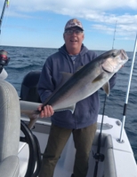Atlantic Blue Charters North Carolina Fishing Charter | 4hrs Offshore Trip fishing Offshore 