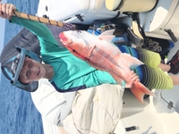 Bottomed Out Fishing Charters Fishing Charter Gulf Shores | 4 hr fishing Offshore 