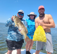 Tall Tales Charters Crystal River Charter Fishing and Scalloping Combo | Private 8 Hour Morning Trip fishing Inshore 