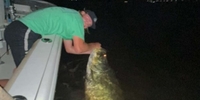 Jackpot Fishing and Ecotours Florida Fishing Charter |  Night Fishing Trip fishing Inshore 
