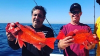 Western Star Sportfishing Offshore Full Day Trip fishing Offshore 