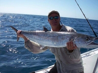 Barracudaville Charters Gulf of Mexico Offshore Fishing Trip - St. Petersburg, FL fishing Offshore 