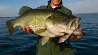 Vo's Guide Service Bass Fishing fishing Lake 