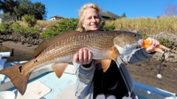 Bass N Bay Charters 6 Hour Inshore Flats Fishing - Bradenton, FL  fishing Flats 