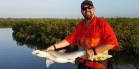 NSB Charters 3 Hour Shark Fishing Trip - New Smyrna Beach, FL fishing Inshore 