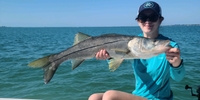 Wild mullet charters Charter Fishing in Sarasota, FL fishing Inshore 