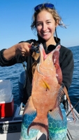 Native Fishing Charters Deep Sea Fishing Crystal River FL | 8 hour Trip Up to 50 Miles fishing Offshore 