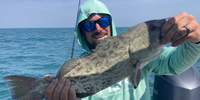 Reel Tactical Fishing Charters Fishing Charters Bradenton Florida | 8 Hour Charter Trip  fishing Inshore 