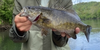 Lucky Strips Fly Co. Fishing Charters in VA | 3.5 HRS River Fishing For 1 Persons fishing River 
