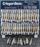 Eriegardless Sportfishing Charters Weekday Walleye Charter - Lake Erie fishing Lake 