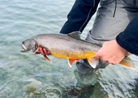 All Alaska Outdoors Inc. Fishing Charter Alaska | Ultimate Fishing Package (September 1 to September 29) fishing Lake 