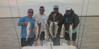 Blue Fly Adventures Port Isabel Fishing Trips | 4 Hour Light Tackle Fishing Trips! fishing Inshore 