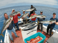 Fin Fetish Sportfishing Catalina Island or Santa Barbara Island Trips fishing Offshore 