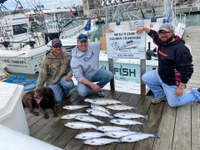 Hunt n Fish Salmon Charters Port Washington Fishing Charters | 5-Hour Seasonal Private Trip (AM or PM)  fishing Lake 
