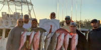 Tail Raiser Charters Charter Fishing Gulf of Mexico | Seasonal 8 Hour Charter Trip fishing Offshore 