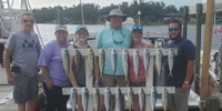 Tail Raiser Charters Fishing Charter Florida | 4 Hour Special Spring Charter Trip fishing Offshore 