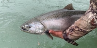 Western Wilderness Adventures Kenai River Fishing Guides | 10hrs River Fishing fishing River 