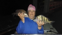 Glo 1 Fishing Charters Tampa Fishing Charters | 4 Hour Night Fishing Adventure.  fishing Inshore 