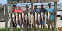 Barefoot Charters Rockport Fishing Guides | 4 Hour Trip  fishing Inshore 