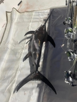 Mayhem Charters Deep Sea Fishing Swordfish/Bottom Fish | Private 18 Hour Charter Trip  fishing Offshore 