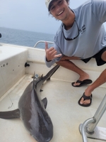 30A Bay Guide Service Santa Rosa Beach, FL 5 Hour Shark Fishing Adventure fishing Inshore 
