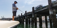 Risen Tide Sportfishing Best Bay Fishing Charter in San Diego fishing Inshore 