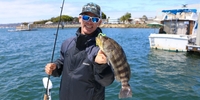 Risen Tide Sportfishing San Diego Bay Fishing Charters fishing Inshore 