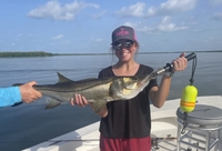 Boca Grande Fishing Charters 6 Hour Trip – Inshore fishing Inshore 