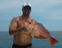 Emerald "C" Fishing Charters Escape to Paradise: Discover the Wonders of Orange Beach's 6-Hour Trip Offshore fishing Offshore 