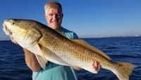 Emerald "C" Fishing Charters Experience the Ultimate Adventure: A 6-Hour Redfish Trip in Orange Beach fishing Inshore 