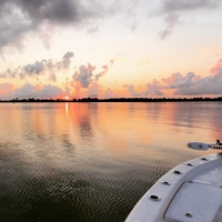 FishingCharleston101 Sunset Cruise & Eco Tours in Charleston, SC fishing Inshore 