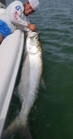 Joesnook Guide Service 6 hour trip - Goodland, FL fishing Inshore 