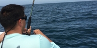 Swan Point Charters Fishing Morehead City NC | Neuse River Pop And Cork Old Drum fishing River 