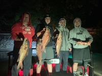 Loz Bowfishing & Adventure Charters Bowfishing fishing Lake 