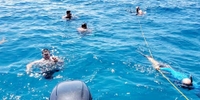 My Islands Adventure Charter Snorkeling Peanut Island tours Underwater 