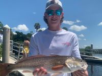 Half Day Beginner-Friendly Fishing Trip in Bayport, FL - Grouper, Snook And More