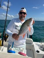 Key Largo Inshore Fishing Charter for Barracuda and Snapper