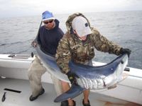 Extended Half Day Guided Shark and Grouper Fishing Trip In Key West, Florida