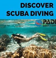 Discover Scuba Diving - June 18th