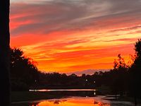 Memorial Services- Scattering of Ashes