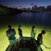 Half Day Scenic Nighttime Bowfishing In Tampa Bay  -Cobia, Sheepshead And More