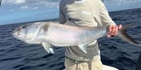 Half Day or Full Day Fishing Trip In Little Torch Key  - Tuna, Snapper and More