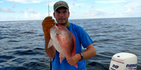 Extended Half Day Guided Fishing Trip In Carrabelle, Florida - Cobia, Snapper And More